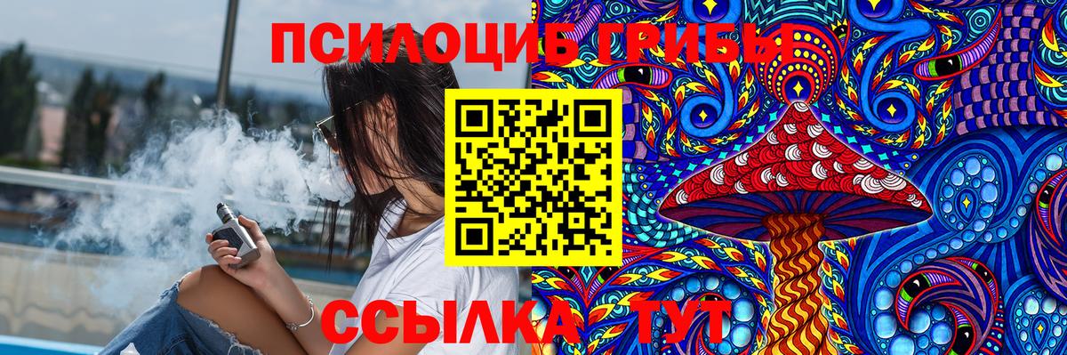 Галлюциногенные грибы Psilocybe  Вход с VPN  Коряжма 